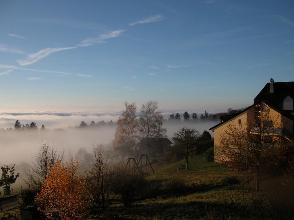 Ecohotel L'Aubier Montézillon Eksteriør billede