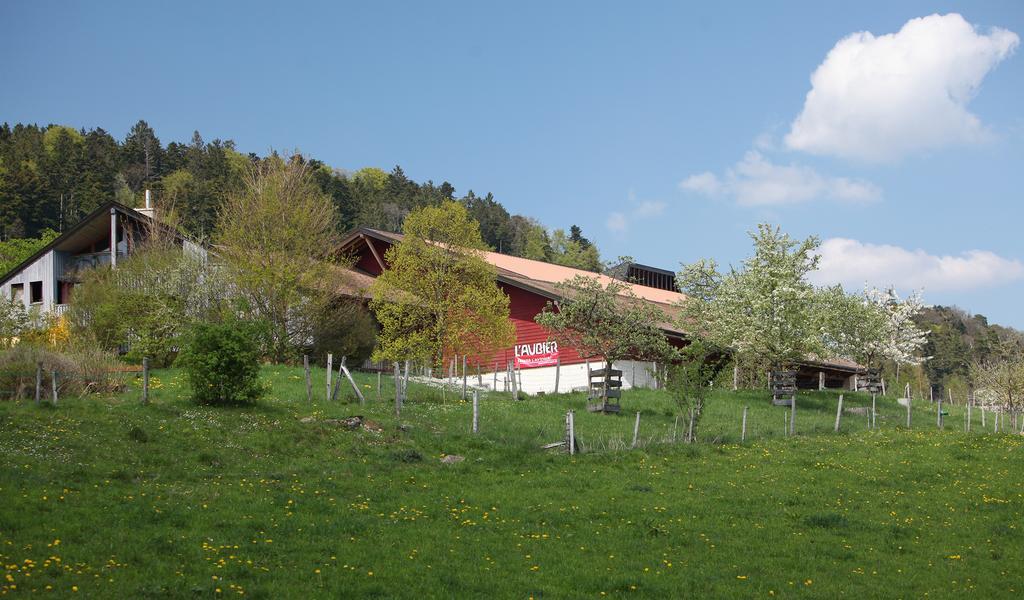 Ecohotel L'Aubier Montézillon Eksteriør billede